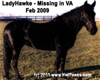MISSING EQUINE LadyHawke, Near Culpeper, VA, 00000